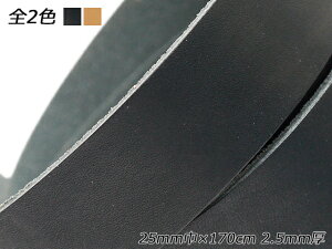i`k[X L/ 25mm×170cm 2.5mm 1{[U[Ntgς] U[NtgvЂ [X kv[X
