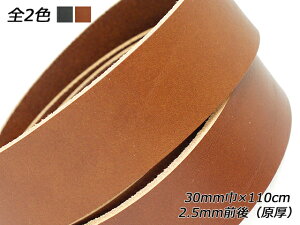 I[Xixgj / 30mm×110cm 2.5mmOij 1{[U[Ntgς] U[Ntgxg 30mm