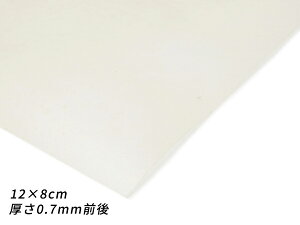 y؂vz\tg  12×8cm 0.7mmO 1y[֑Iz [U[Ntgς] U[Ntg؂viJbgU[j ؊viԁj