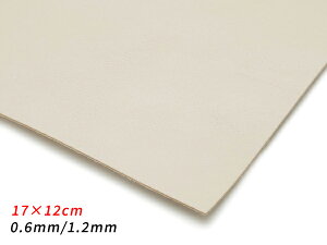 y؂vzs[^[ n 17×12cm 0.6mm/1.2mm 1y[֑Iz [U[Ntgς] U[Ntg؂viJbgU[j ؂vir Rrj