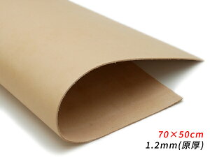 y唻؂vznk i` 70×50cm 1.2mmij 1yz [U[Ntgς] U[Ntg؂viJbgU[j nv