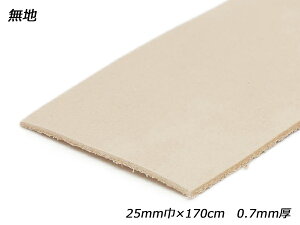 kECO[X  n 25mm×170cm 0.7mm 1{[ς] U[NtgvЂ [X kv[X