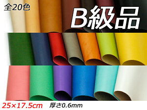 yB؂vzhGA S20F 25×17.5cm 0.6mm 1y[֑Iz [U[Ntgς] U[Ntg؂viJbgU[j kviԁj