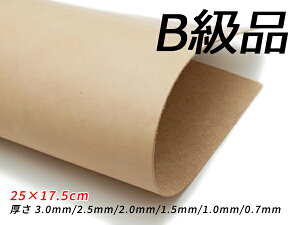 yB؂vzThU[}bg i` 25×17.5cm 3.0mm/2.5mm/2.0mm/1.5mm/1.0mm/0.7mm 1y[֑Iz [U[Ntgς] U[Ntg؂viJbgU[j Ԑ؂viB