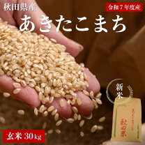 楽天市場】玄米 60k（食品）の通販