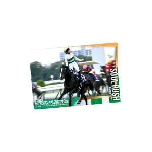 y\񏤕i-25/12/22-JBOXzTubhz[XRNV cCEGn[X 3R 20BOX (H)