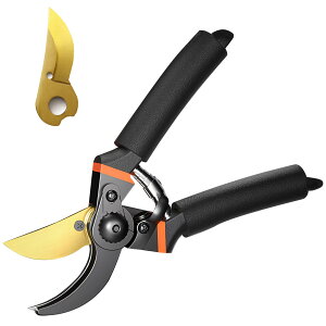 ۋ  A؃nT~  }؂ y Xg[g WFbg   |nT~ G  A؂nT~ ֐nt ubN1 ֐nt