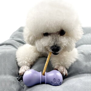 ���p�K���X�^���h �����߃X�e�B�b�N ����z���_�[ ���p ���ރz���_�[ -�������T�C�Y