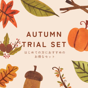 ʌ聚@y2025NH̕܁Enbs[obOz@sAX@CO@NX^@KX@tF~j@ꂢ߁@ؚ@`^@14kgf@@AM[Ή@nhCh