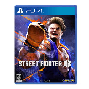 vCXe[V4 Xg[gt@C^[6/PS4/PLJM17200/PS4y|Xgz