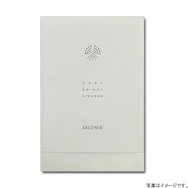 【お得・新品・送料無料・即納】SALONIA 美顔器・フェイススチーマー SAL22207SL　※倉庫からの移動中に箱傷みあり※ 【外箱傷あり】