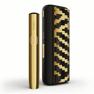 IQOS C} i vC ZbeB fyio^sizIQOS ILUMA i PRIME 胂f