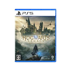 �z�O���[�c�E���K�V�[ PS5�Ły�|�X�g�����z