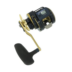 yE݌ɂz _C daiwa21 \eBKIC 300HL-SJ