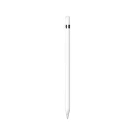 【新品保証開始・お得・即納・在庫僅か】 Apple Pencil 第1世代 MQLY3J/A USB-Cアダプタ付 【ポスト投函】