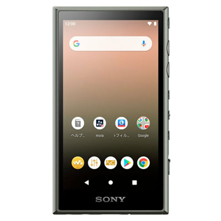 楽天市場】【送料無料】SONY ウォークマン Aシリーズ NW-A106(G) [32GB 
