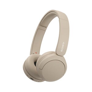 SONY ���C�����X�w�b�h�z�� WH-CH520(C) Bluetooth�Ή� ���C�����X