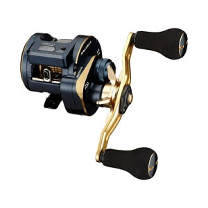 _C daiwa21 \eBKIC 100PL-DH