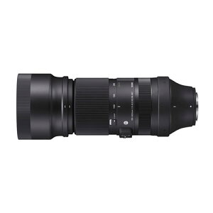 SIGMA 100-400mm F5-6.3 DG DN OS �t�W�t�C�����p
