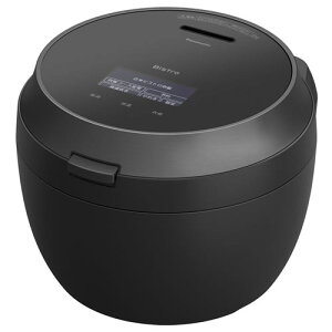Panasonic rXg SR-V10BB-K ubN