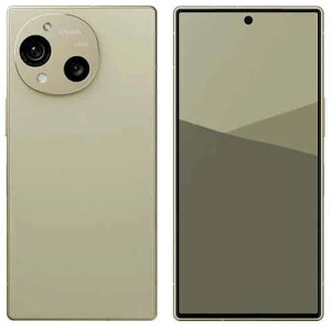 AQUOS R10 SH-M31 12G+256G SIMt[X}[gtH g`x[W [J[ SIMt[