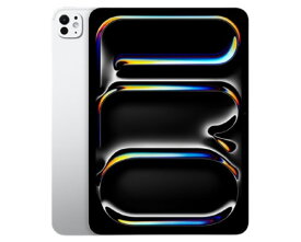 Apple iPad Pro 11インチ Wi-Fi 2TB Nano-textureディスプレイガラス搭載 2024年春モデル MWR93J/A シルバー