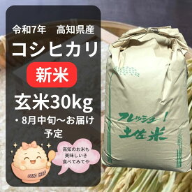 【予約販売・数量限定】コシヒカリ 高知県産 2025 新米 玄米30kg 高知コシヒカリ 米 こしひかり 予約限定　送料無料