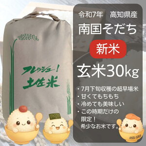 新米 高知県産 南国そだち 玄米 30kg|即発送!甘くて冷めても美味しいブランド米 南国そだち なんごくそだち なんこくそだち 南国育ち 米 新米 2025 希少米 限定米 冷めても美味しい お米 甘