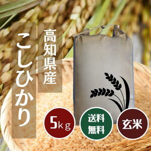 RVqJ mY 2025 ߘa7N  Iy5L 10Lz mRVqJ  Ђ 