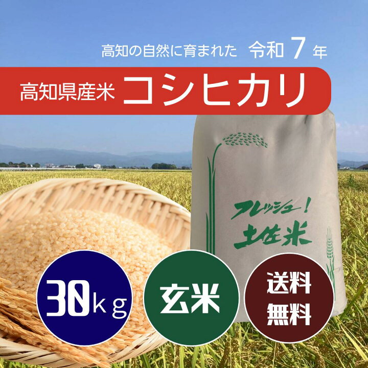 楽天市場】2025 令和7年 コシヒカリ 高知県産 玄米 30kg 高知 