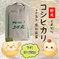 楽天市場】玄米 30kg 高知県の通販