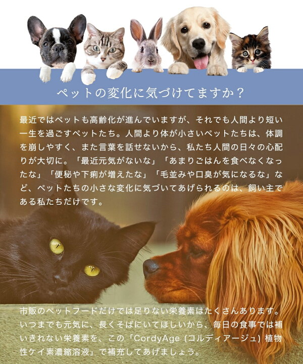 楽天市場 40 ポイントバック ス パーdeal 期間限定 レビュー投稿で 1本 犬 猫 サプリ 犬用 猫用 サプリメント 免疫 の健康を維持 老犬 老猫 シニア ねこ いぬ ネコ イヌ 元気 うさぎ ペット ペット用 冬虫夏草 コルディアージュ シリカ水 シリカ 濃縮溶液