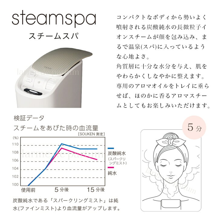 楽天市場】【正規品 ホメオスタイル 公認店】 スチーマー ナノケア  