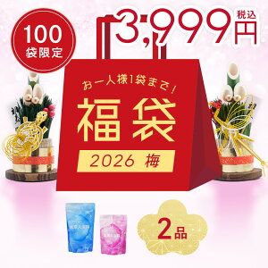 y 2026 ~ 3,999~z2_Zbg   f Mtg H++(n[vX) ێ  qA_ f imou j  xr[ v[g v`Mtg f fC o