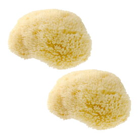 【まとめ買い】【2個セット】【正規品 公認店】グリーンノート 天然海綿 スポンジ ボディ用 ハニコム種 ボディスポンジ 高品質 海綿 スポンジ 敏感肌 乾燥肌 デリケート肌 子供 赤ちゃん 吸水性 低刺激 うるおい ボディケア ボディ 男性 女性 男 女 プレゼント ギフト 贈り物