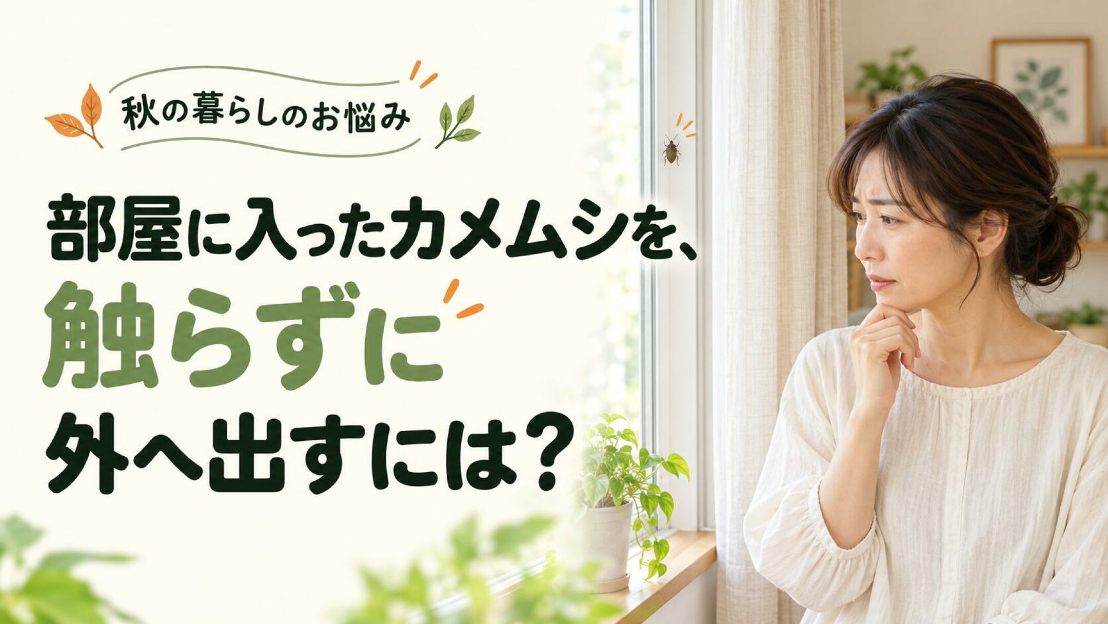 部屋に入ったカメムシを、触らずに外へ出すには？｜つぶさず逃がす方法