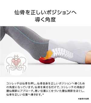楽天市場 コシレッチ コンパクト指圧代用器 仙骨 ストレッチ 寝ながら 仙骨ほぐし 仙骨マッサージ あす楽対応 アイデアグッズのララフェスタ 楽天市場 コシレッチ コンパクト指圧代用器 仙骨 ストレッチ 寝ながら 仙骨ほぐし 仙骨マッサージ あす楽対応 アイデアグッズのララフェスタ
