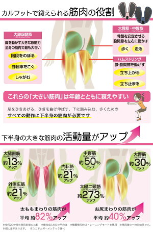 楽天市場 Calfoot カルフット Ems 千葉真子 収納ポーチ付き 脚用ems 下半身 お尻 太もも Emsマット 足裏ems パッド不要 あす楽対応 ポイント消化 アイデアグッズのララフェスタ