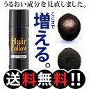 増毛スプレー【送料無料】newヘアフォロー ブラック【あす楽対応】【即納】【正規品】生え際やつむじはげ、分け目部分の薄毛をカバーする、ハゲ隠しスプレー!! / ... ランキングお取り寄せ