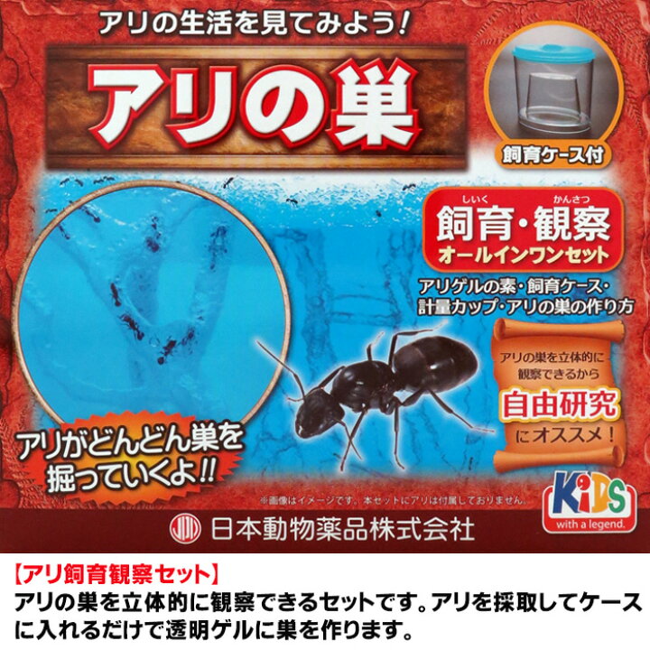 アリの巣 観察キット まなびっこ 銀鳥産業 昆虫飼育用品 アリ伝説 ギンポー 3個セット 蟻