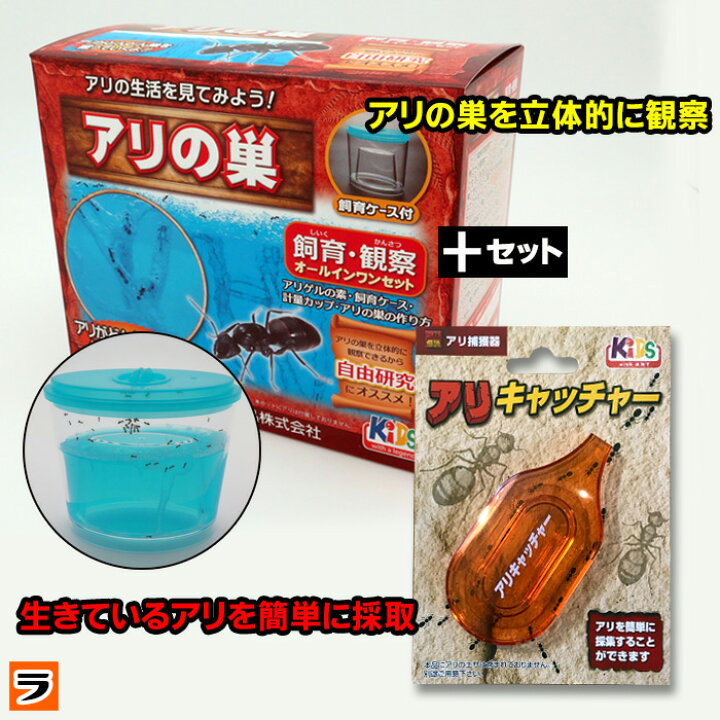 楽天市場 最大1000円offクーポン アリの巣観察キット アリキャッチャー付き アリ 飼育 キット アリの巣 観察 夏休みの宿題 夏休み 自由研究 蟻飼育セット 3dアリの巣 アリ伝説 アリ捕獲器 アリ飼育観察セット 小学生 男の子 女の子 知育教材 あす楽対応