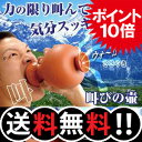 ストレス発散グッズ【送料無料】叫びの壷(叫びのツボ)【あす楽対応】≪ 大声がささやきに変化する 叫びの壺 / イライラ発散やボイストレーニング、カラオケ練習にも...
