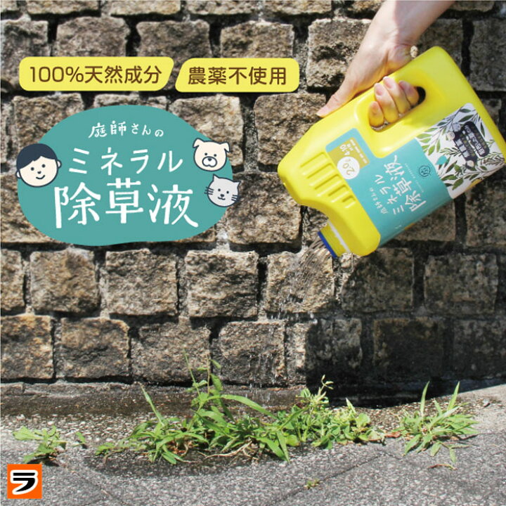楽天市場 最大1000円offクーポン ドリーム 庭師さんのミネラル除草液 2l 除草剤 無農薬 人畜無害 液体 雑草駆除剤 雑草対策 子供やペットにも安心 安全 非農耕地用 アイデアグッズのララフェスタ
