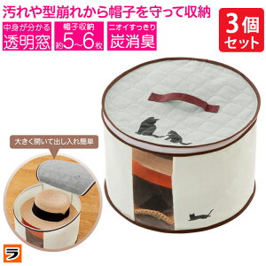 炭消臭 帽子収納袋 3個セット 不織布 帽子 約5-6枚 収納 クローゼット 消臭 炭シート入り 透明窓 押し入れ 型崩れ防止 帽子収納ケース ハット 収納ボックス【ポイント消化】