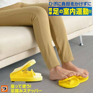 Xebp[ Ăł Xebv  Ȃ nr _CGbg ݉^  w w L_f^ RpNg y ȂGNTTCY  VjA N