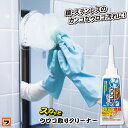 【定形外出荷】業務用スカッとウロコ取りクリーナー 水垢落とし 鏡 ガラス うろこ取り 洗剤 ステンレス うろこ落とし 酸性洗剤