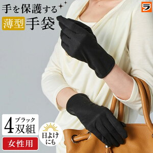 ی삷 ^  4og fB[X Ci[  ی r ₷ݎ iCg  Ăh~ K[fjO O[u