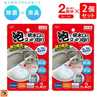 泡で排水口のヌメリ取り 2回分×2個セット 排水口 洗浄剤 泡 発泡 ヌメリとり 重曹 排水溝 ぬめり取り剤 キッチン 風呂 洗面 除菌 消臭 日本製
