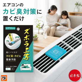 エアコンの上に置くだけ 防カビ剤 ズボラ上等 エアコン用 日本製 カビ防止剤 約6カ月有効 置くだけ カビ予防 臭い におい カビ 対策 防カビ バイオ 置き型 シート クーラー 暖房 エアコンの掃除