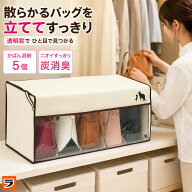 炭消臭 かばん収納ケース 不織布 消臭 炭シート入り バッグ 収納 クローゼット 仕切り 立てて収納 布 カ…